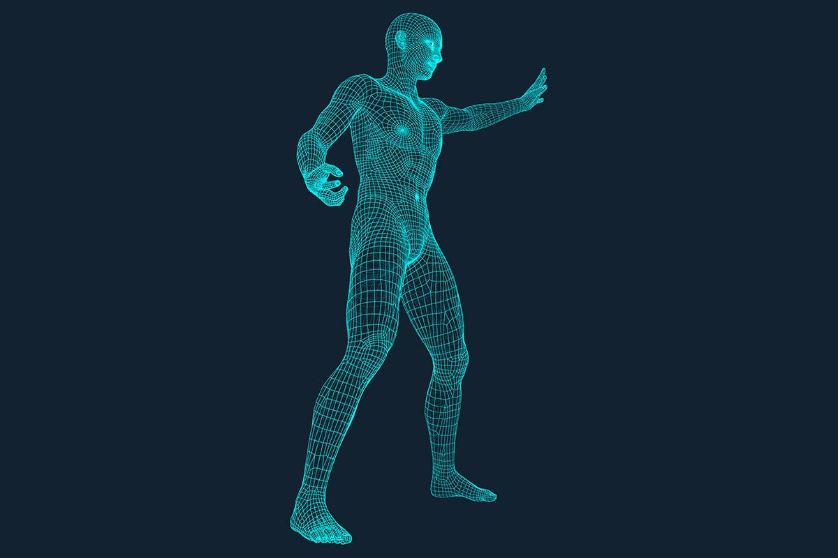 3D Model of Man. Polygonal Design